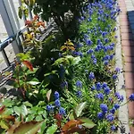 Al Mare-villa Z Basenem I Klimatyzacja W Cenie Pobytu Apartman Ustronie Morskie