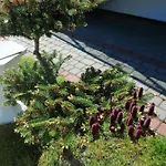 Al Mare-villa Z Basenem I Klimatyzacja W Cenie Pobytu Apartman *