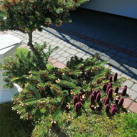 Al Mare-villa Z Basenem I Klimatyzacja W Cenie Pobytu Apartman *