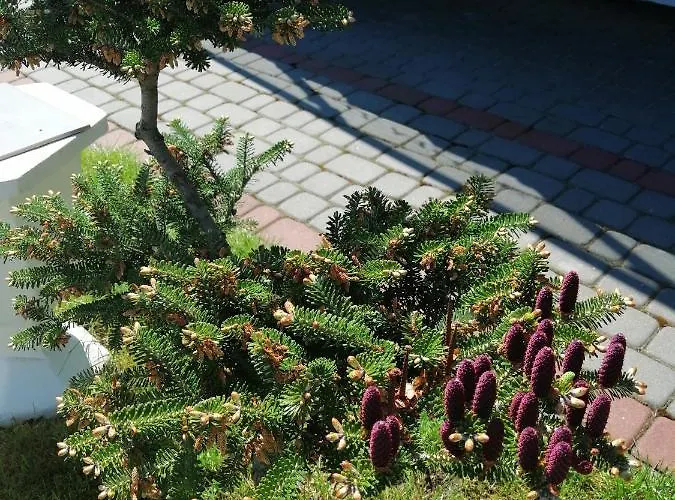 Al Mare-villa Z Basenem I Klimatyzacja W Cenie Pobytu アパート *